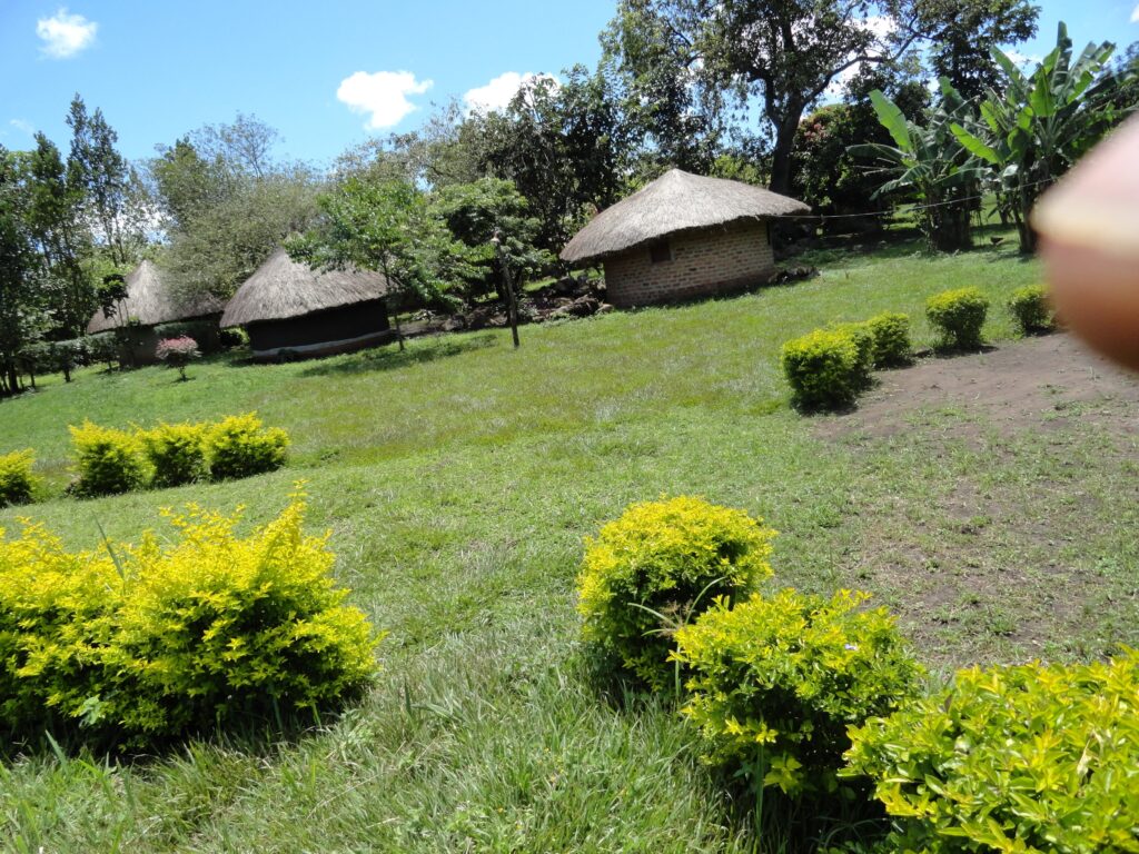 accommodation in murchison