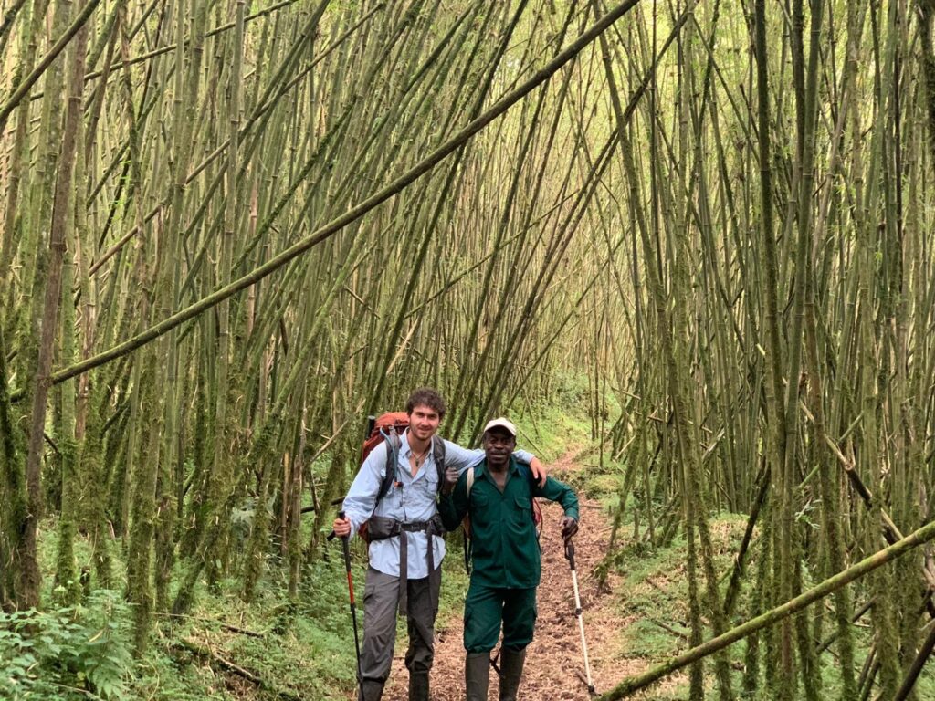 Trekking the rwenzori mountains 
