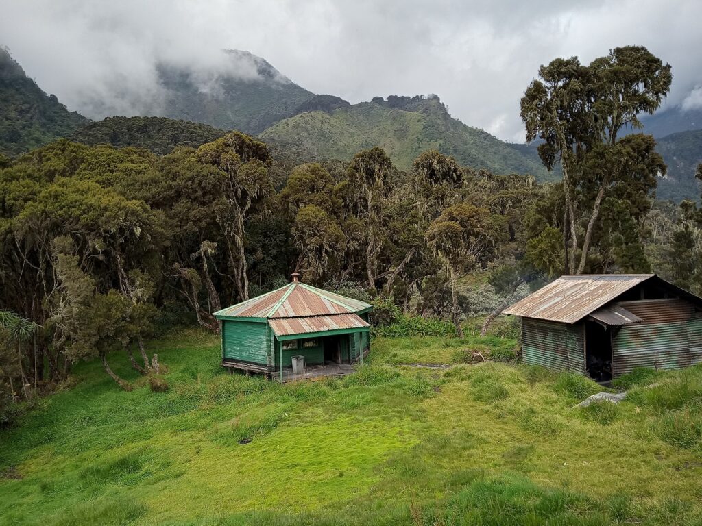 Rwenzori mountaineering